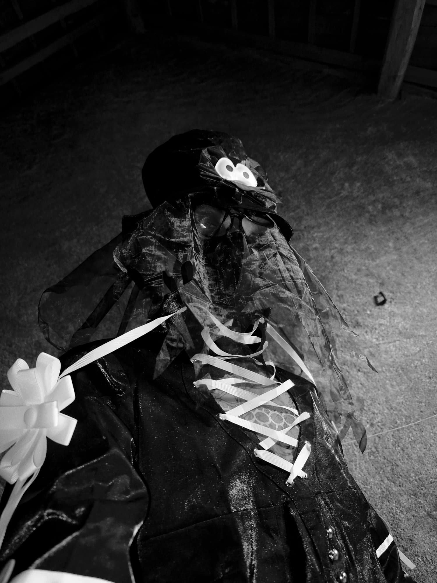 Trey Clover  - Photo 6