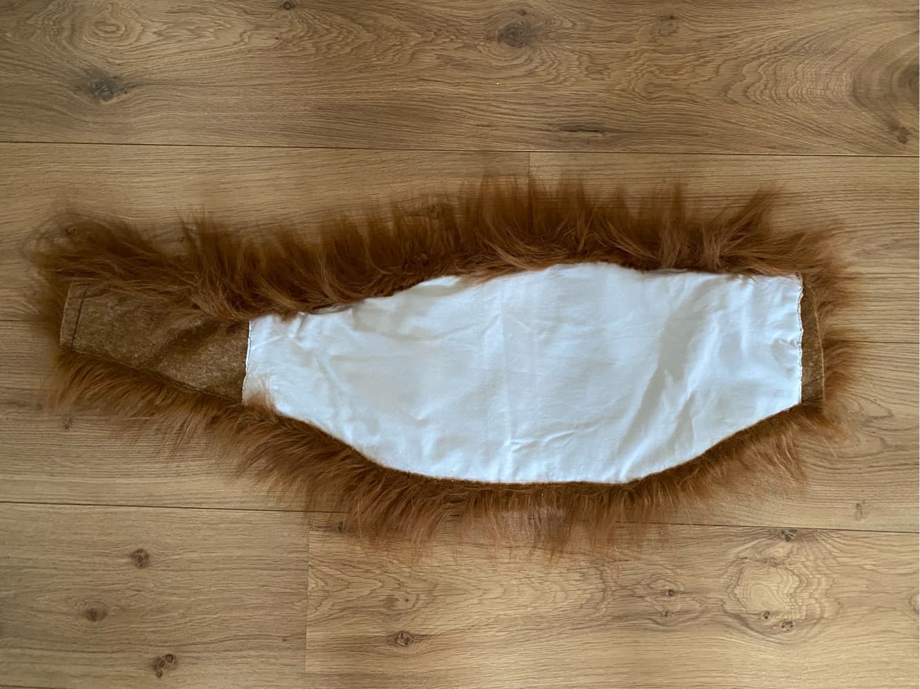 WIP Inosuke - Photo 23