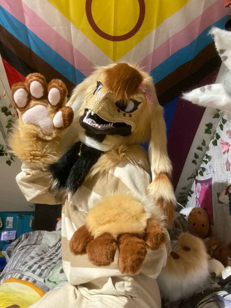 Photos Tapioca - Photo 17