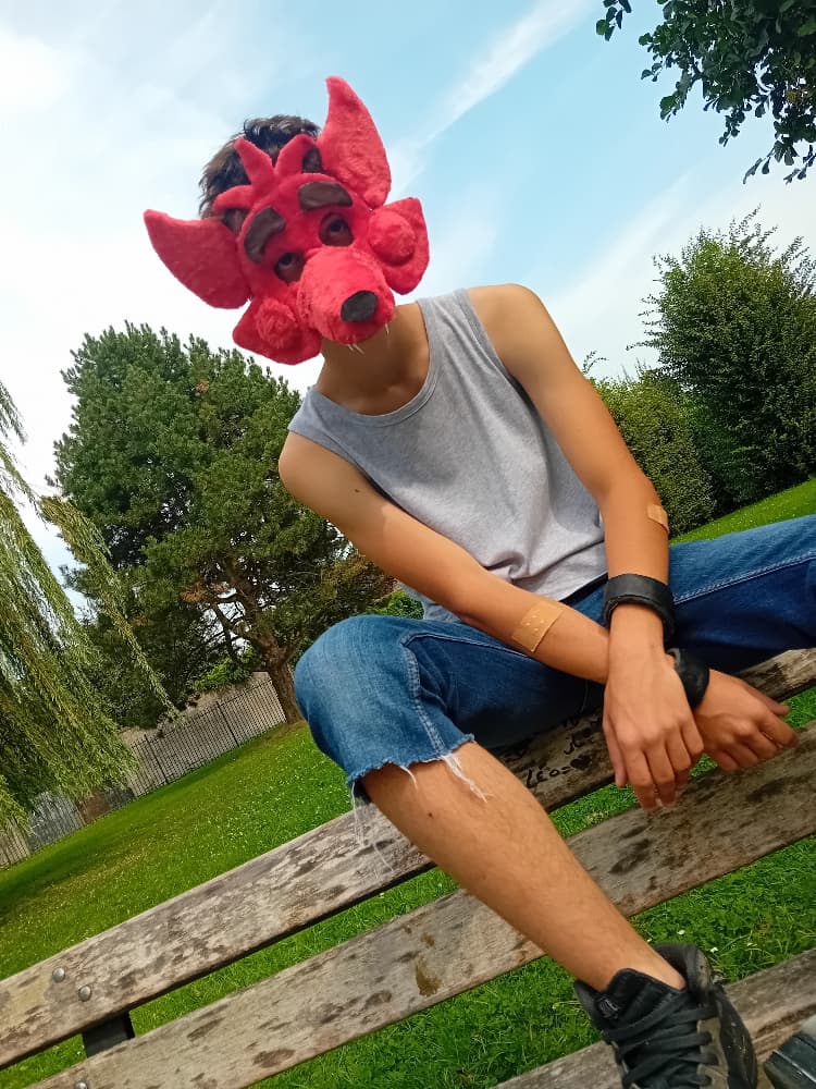 Orchies Festival - Photo 7