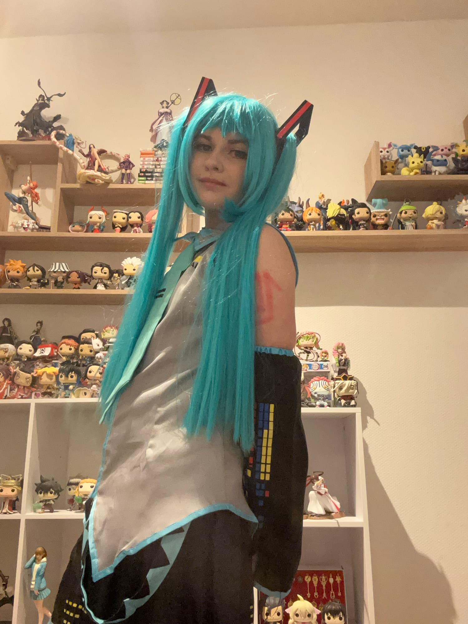 Hatsune Miku  - Photo 4