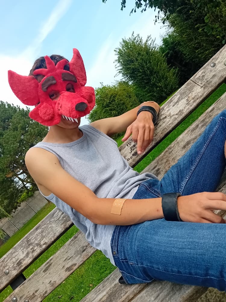 Orchies Festival - Photo 2