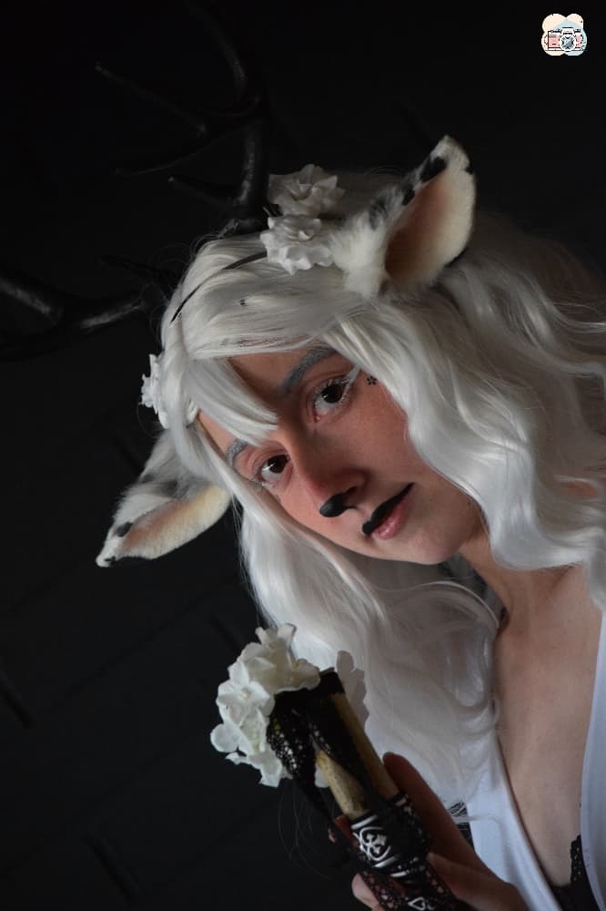 Faune noir et blanc - Photo 8