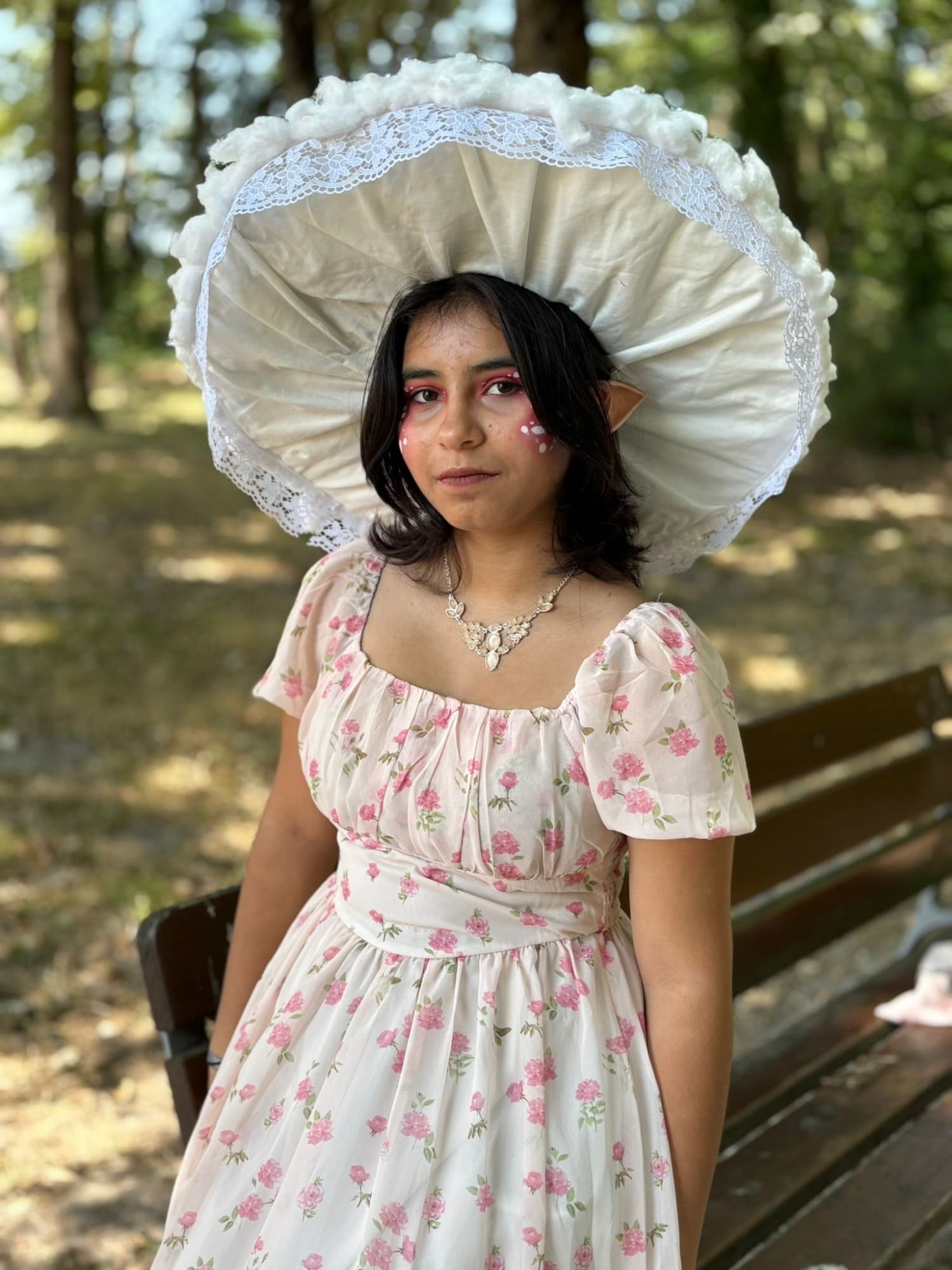 Champignon féerique  - Photo 6