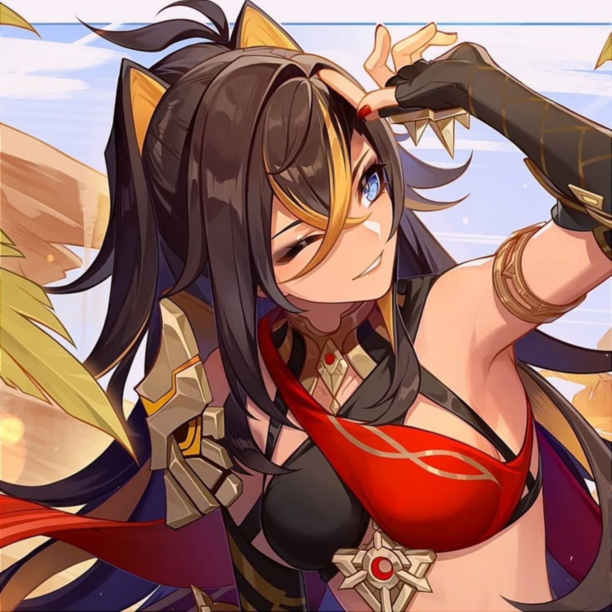 Dehya Japan Biarritz