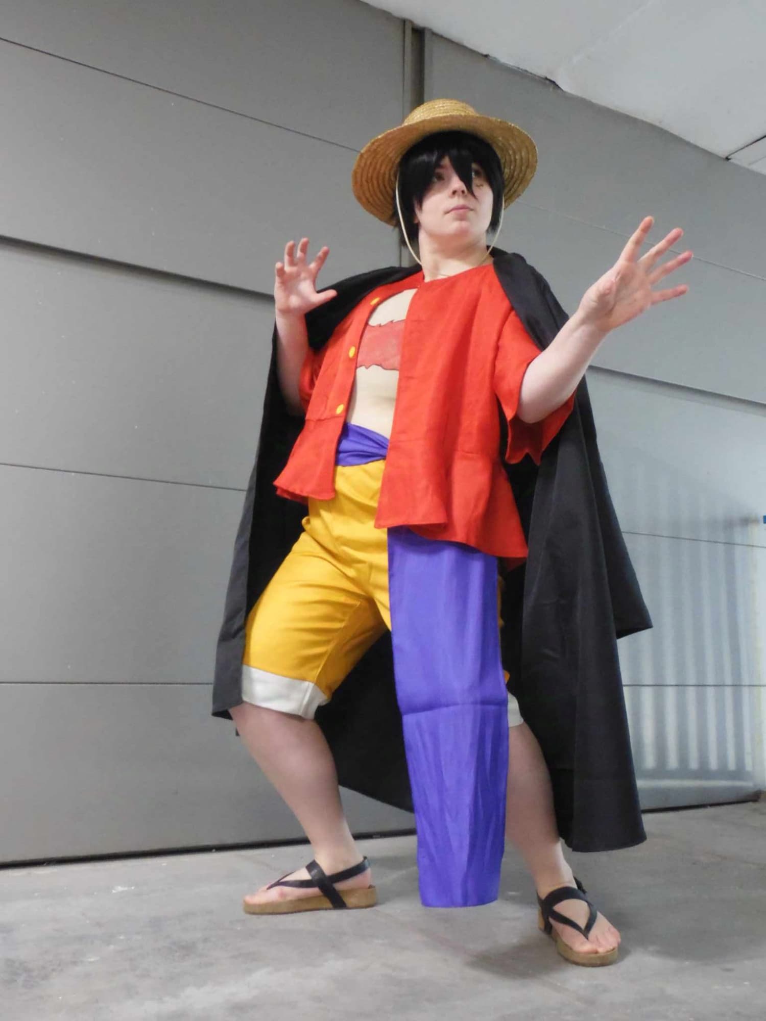 Luffy - Kamoplay - Photo 3