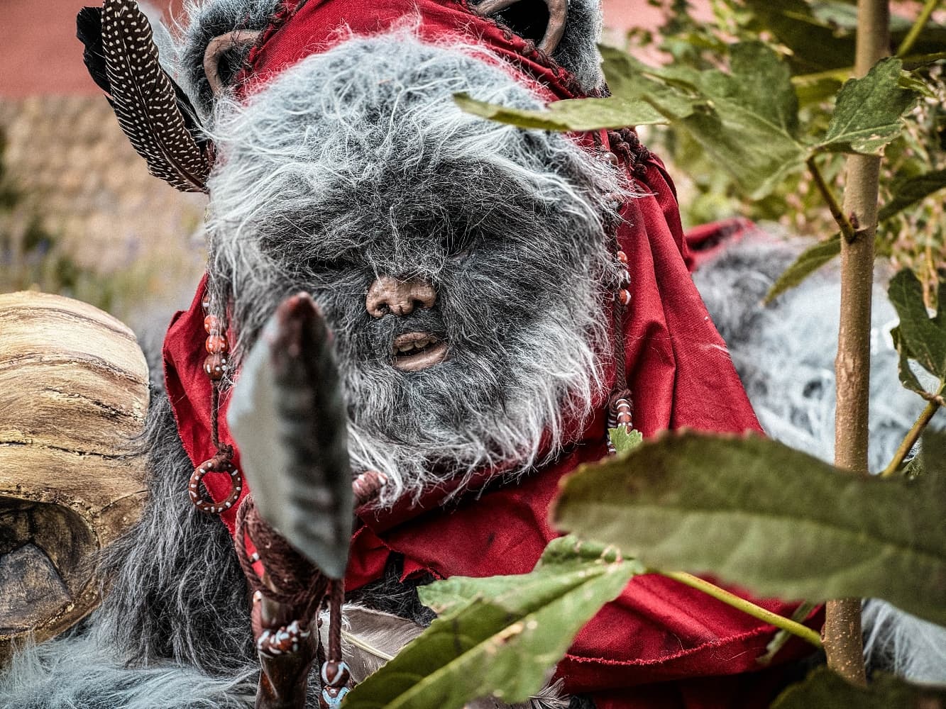 Un Ewok À Vitrolles - Photo 8