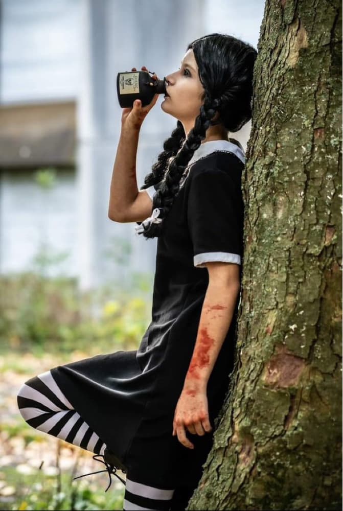 Mercredi addams 1991