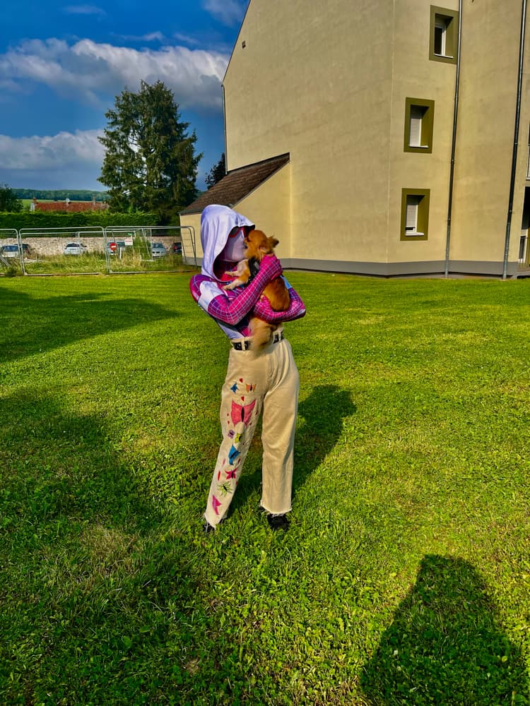 Spider butterfly  - Photo 21