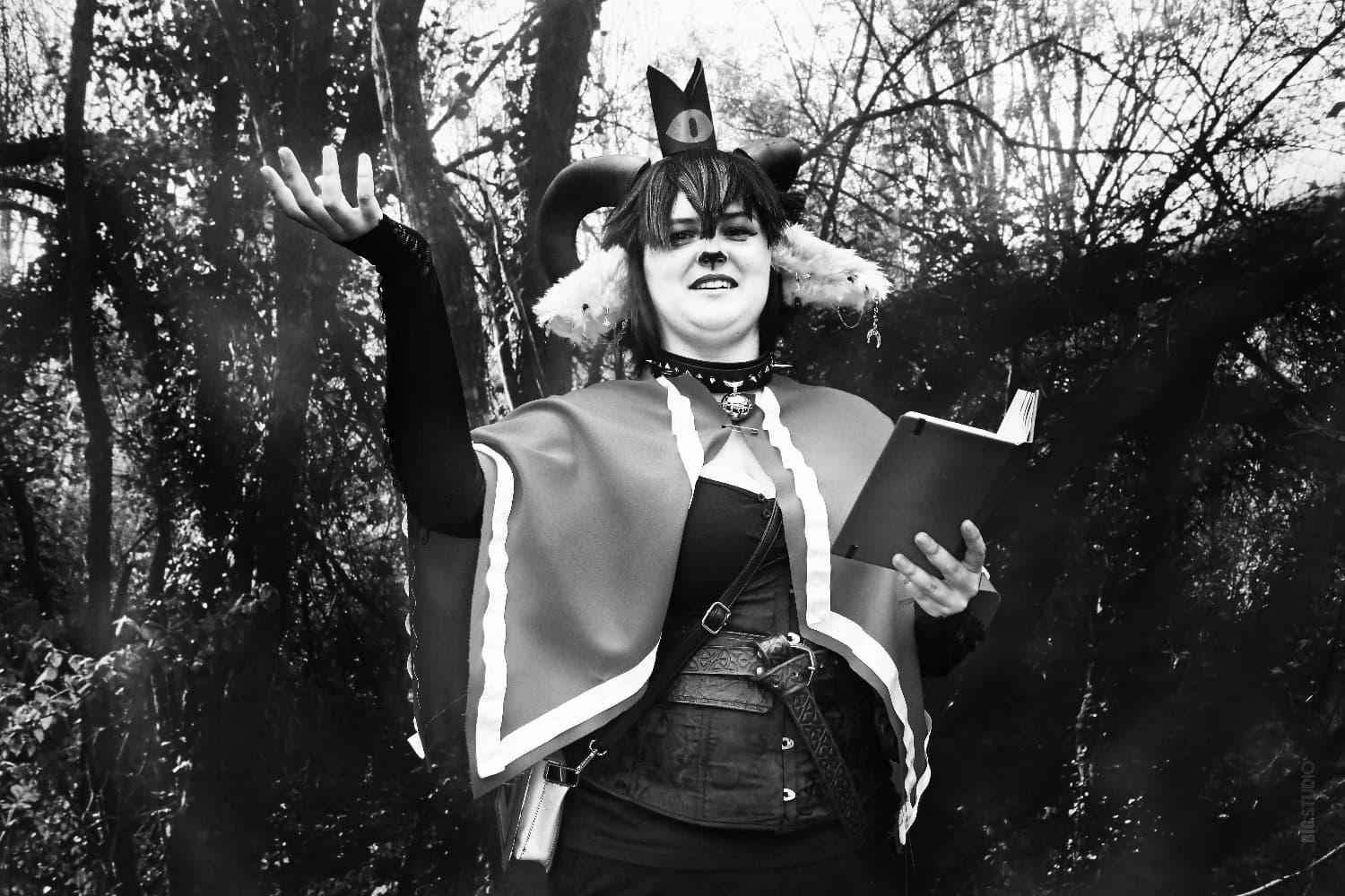 Cidre et Dragon - Photo 4