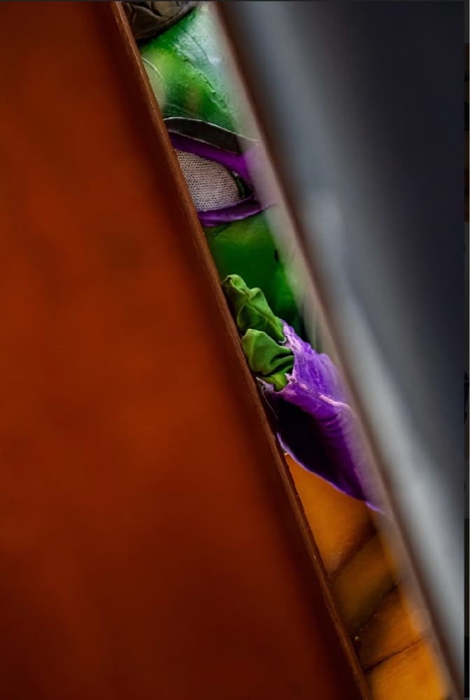 Donatello Tmnt - Photo 1