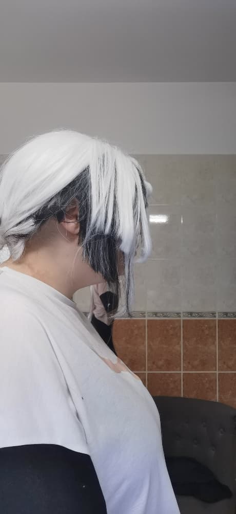 Wig terminé  - Photo 4