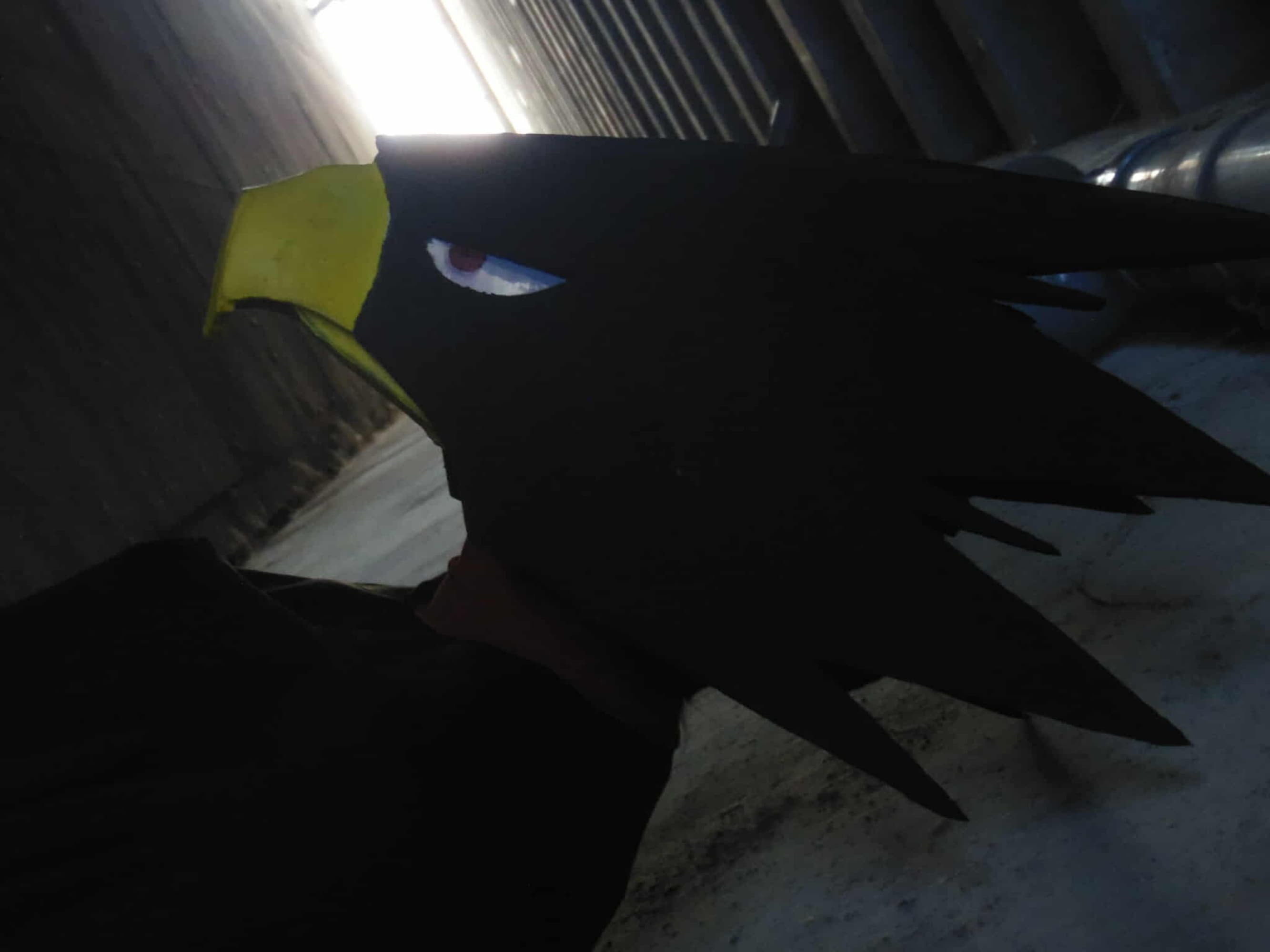 Tokoyami - JapanExpo - Photo 4