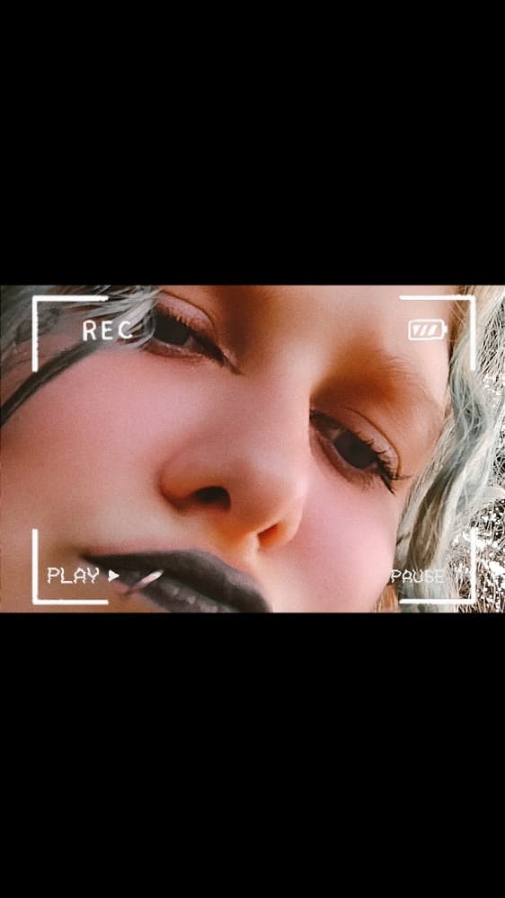 La forêt interdite - Photo 38