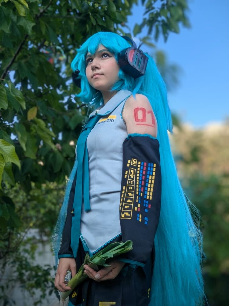 Hatsune Miku 6/25 - Photo 5