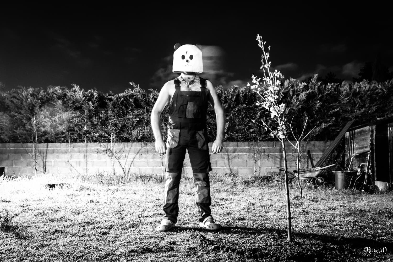 Pandaman test flou - Photo 5