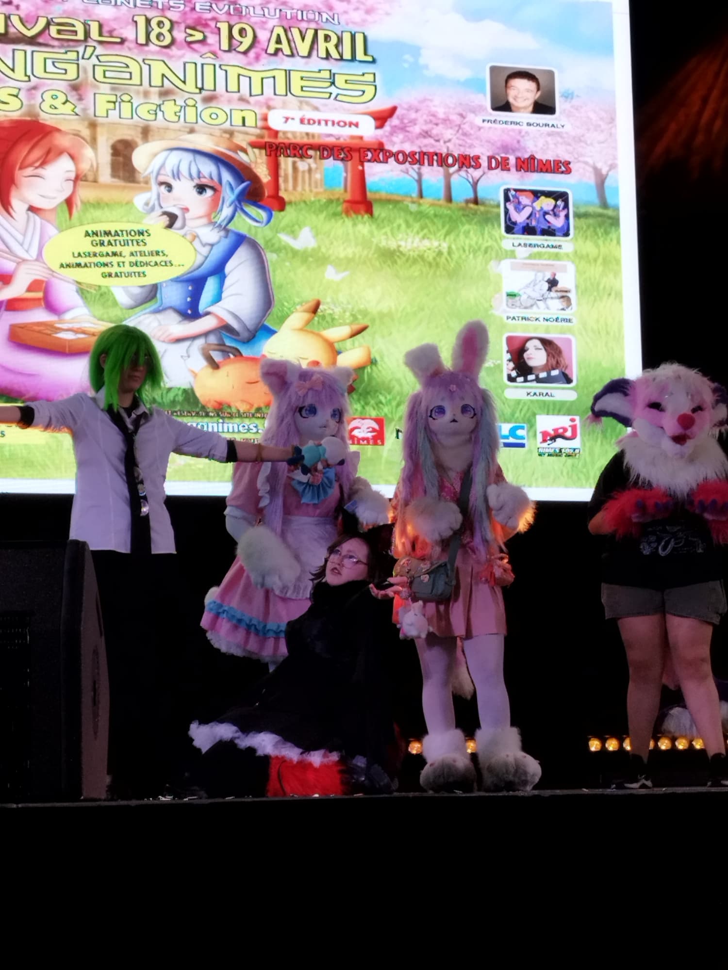 Défilé manganime - Photo 2