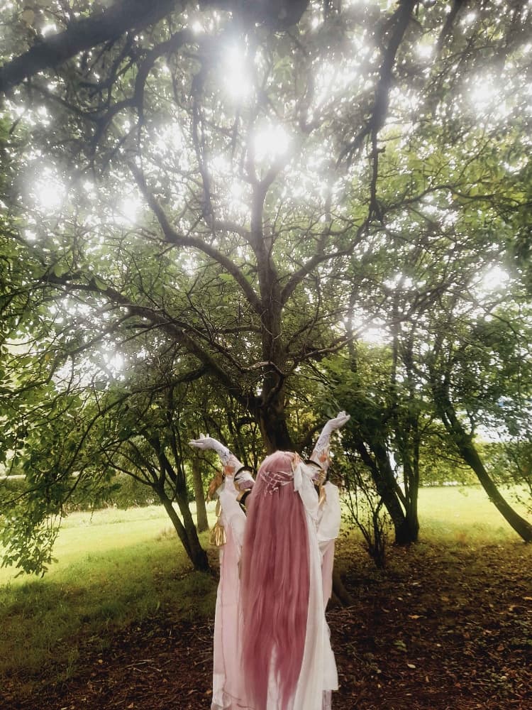 Elysia (Bailleul) - Photo 7