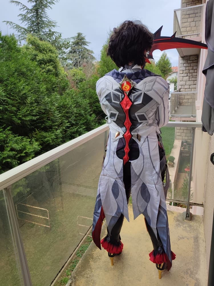 Arlecchino - Photo 26