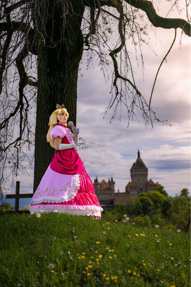 Peach and the Castel - Photo 7