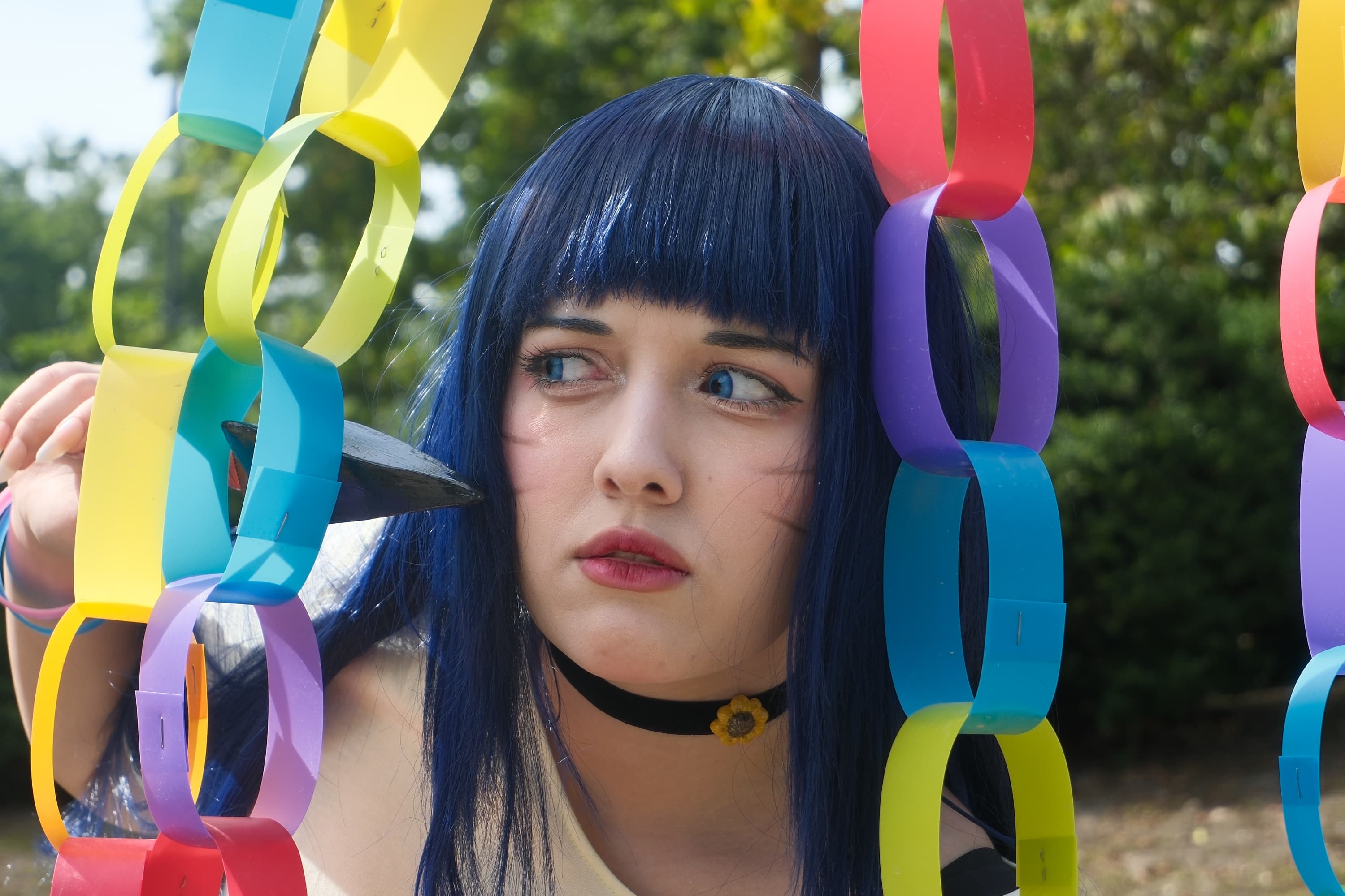 Himawari  - Photo 12