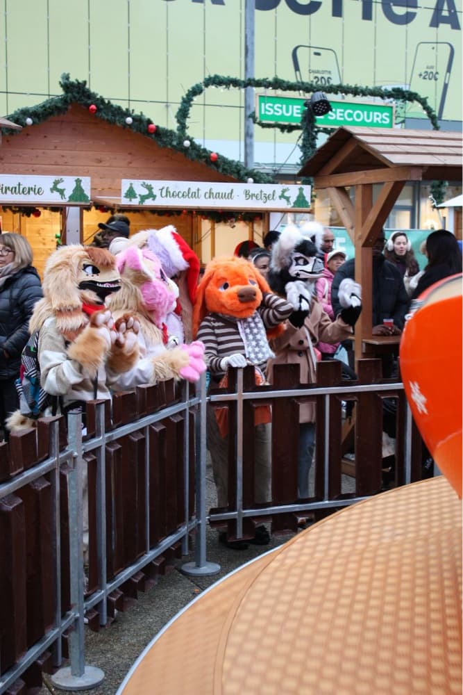 Photos Tapioca - Photo 15