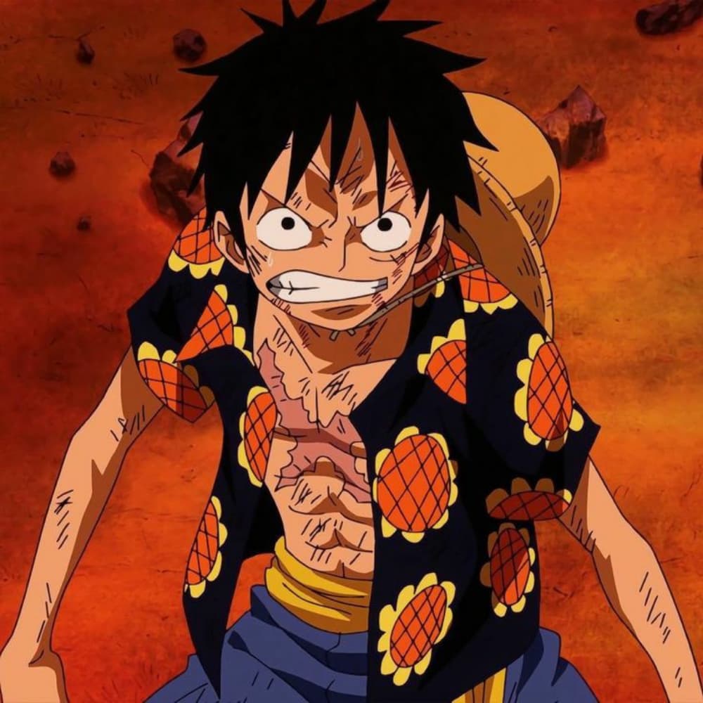 Luffy Dressrosa