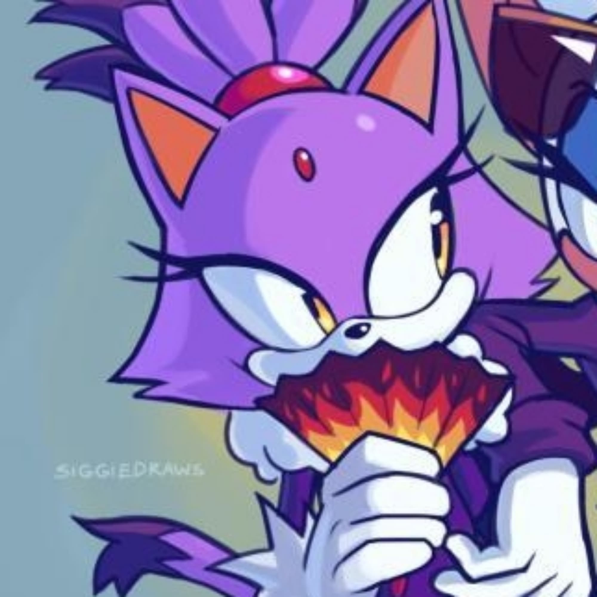 Blaze the cat 