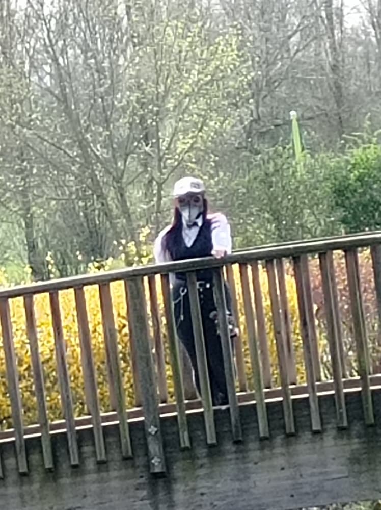 Plague doctor - Photo 7