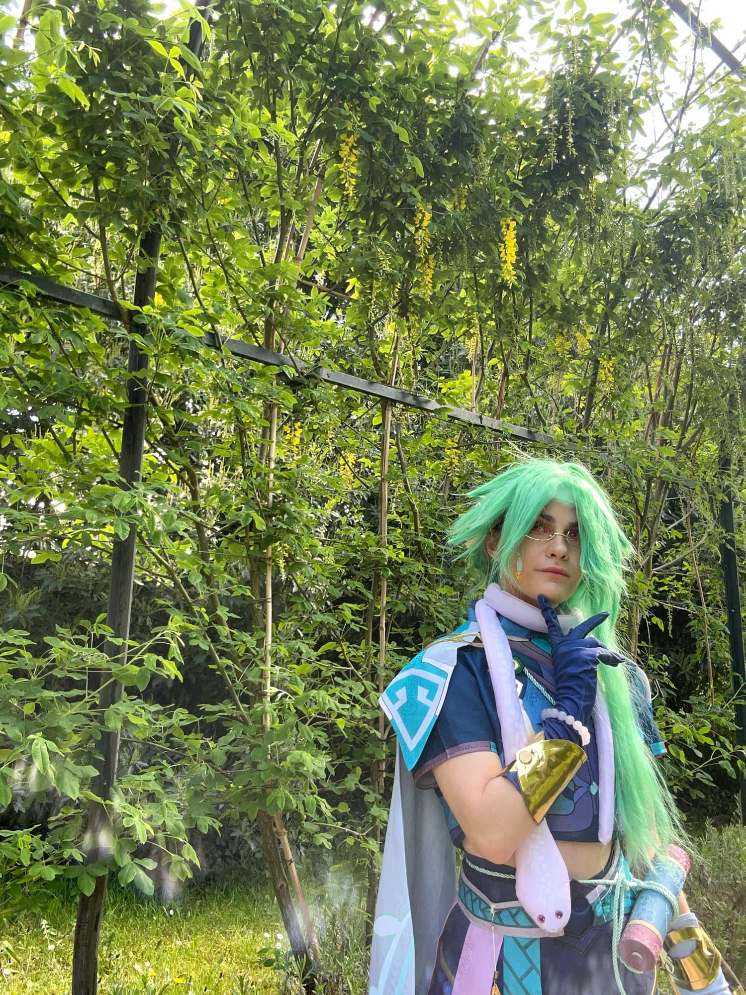Baizhu  - Photo 4