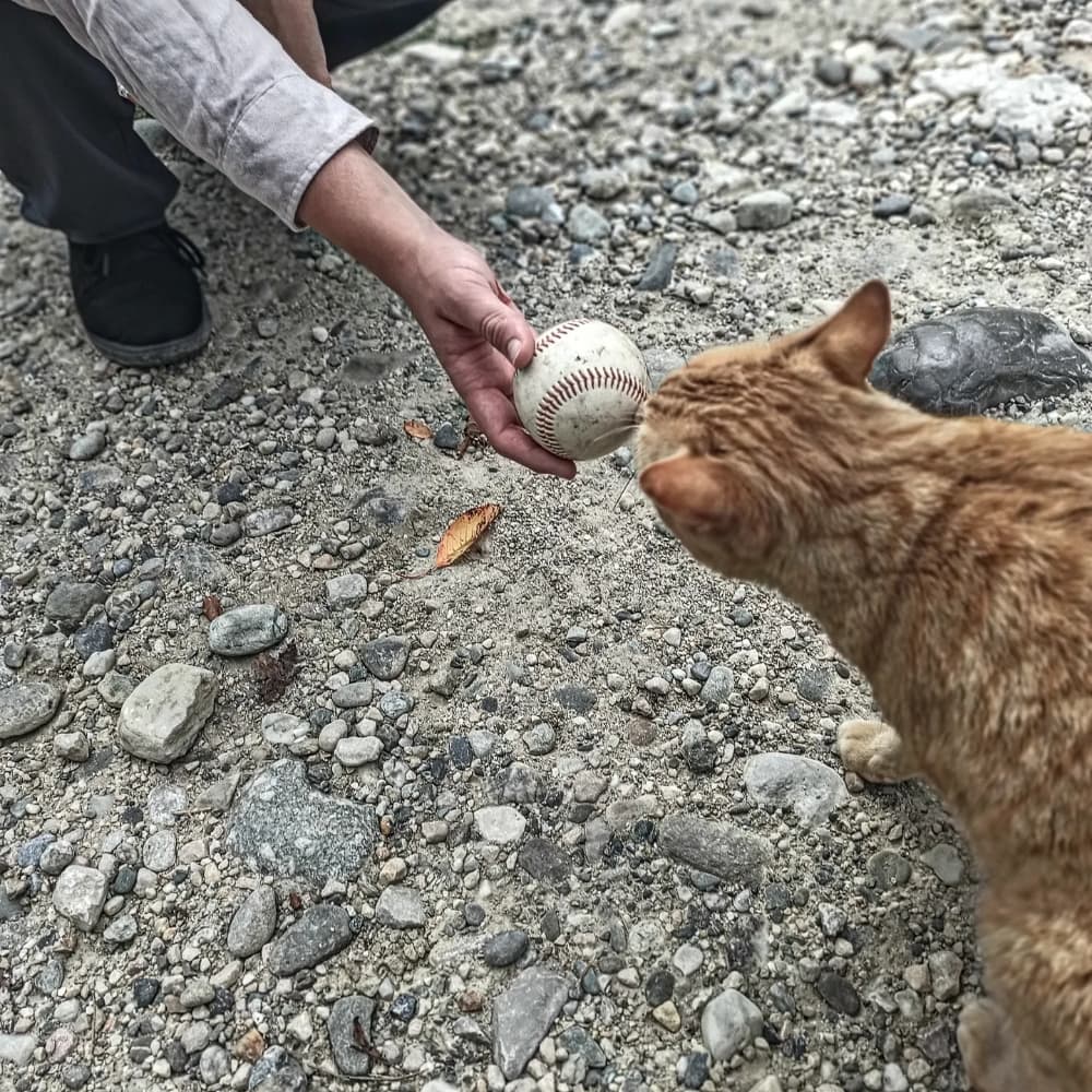 Eren by Jack - Photo 5