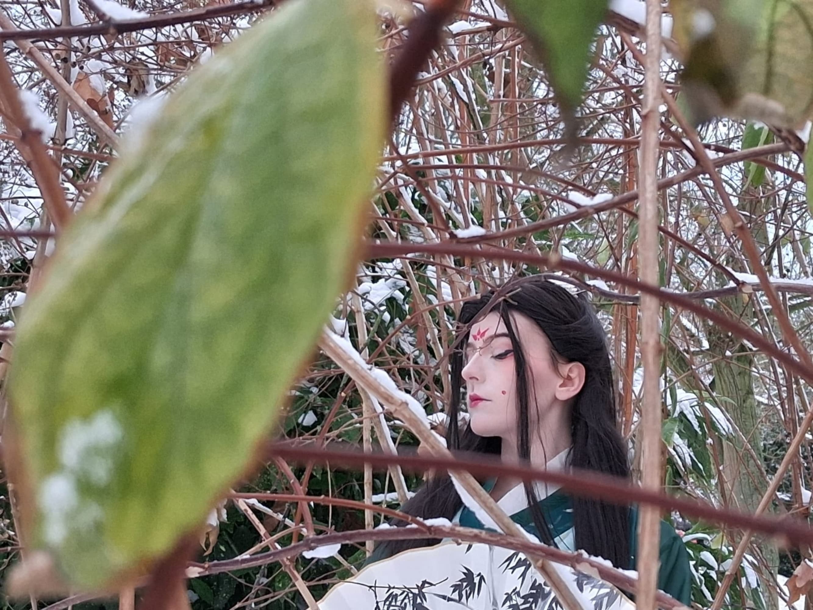 Sous la neige  - Photo 6