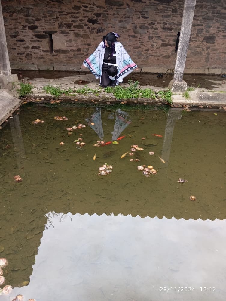 Shinobu KOCHO - Photo 11