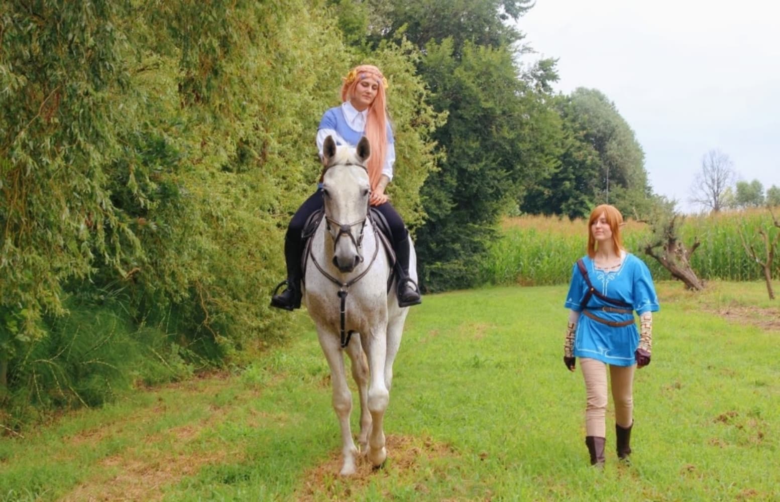 Link (Botw) - Photo 11