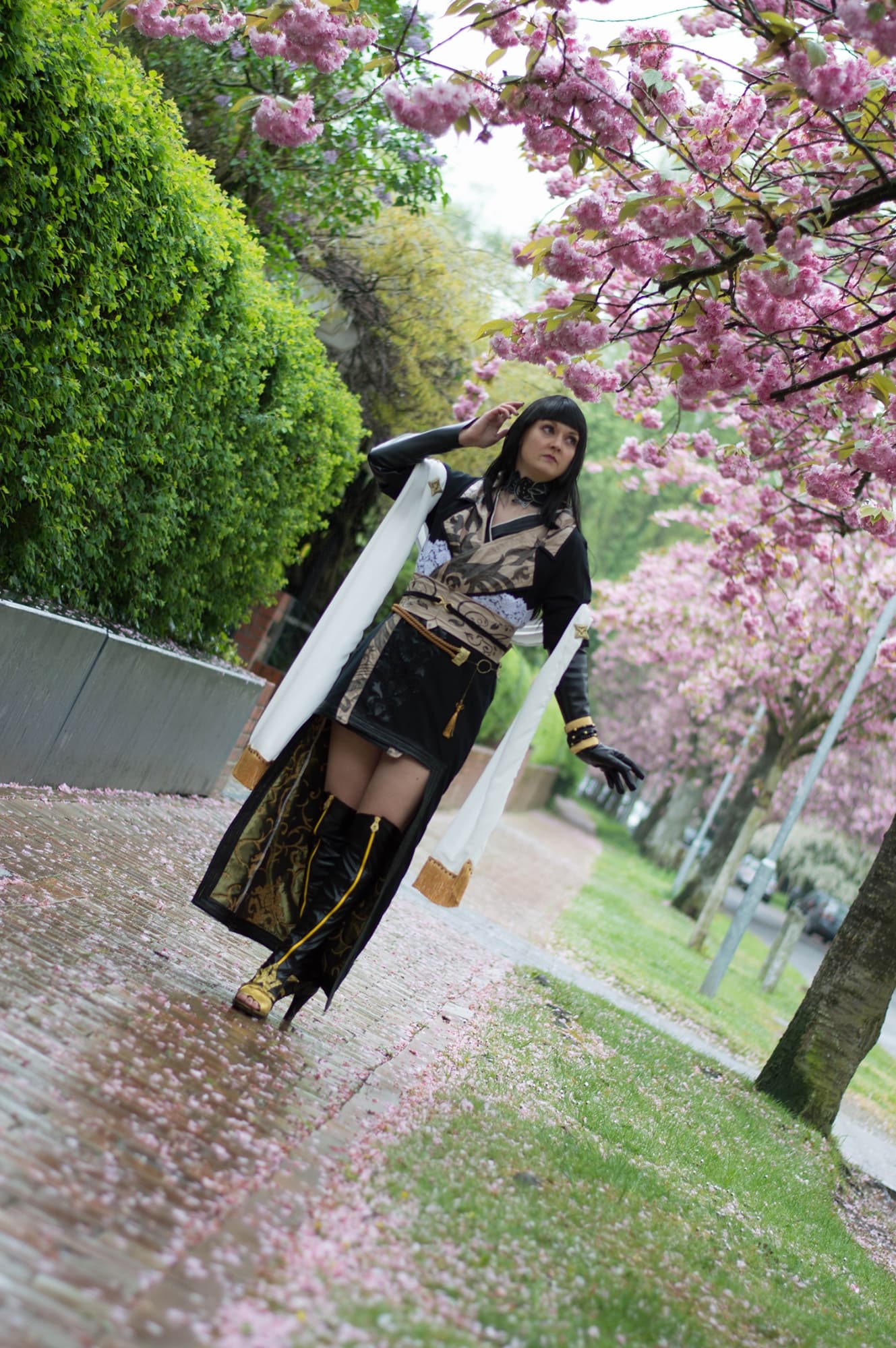 Gentiana (FF 15) - Photo 21