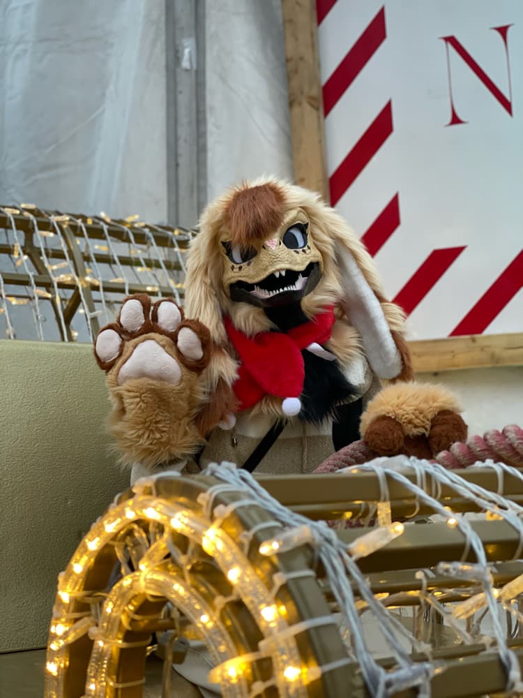 Photos Tapioca - Photo 19