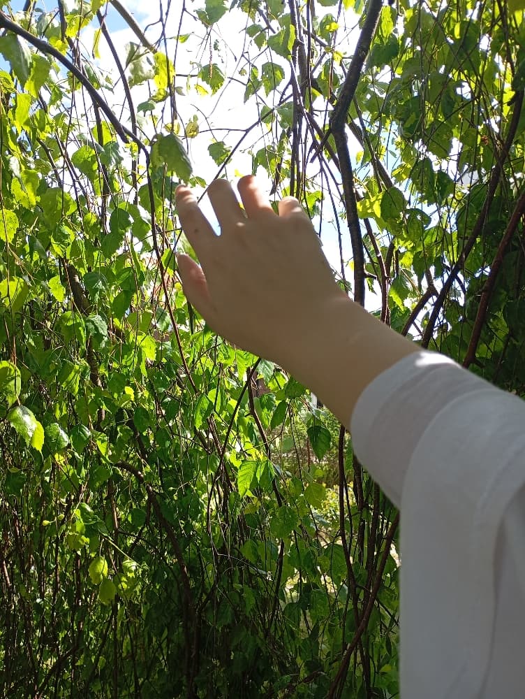 Xie Lian!!  - Photo 11