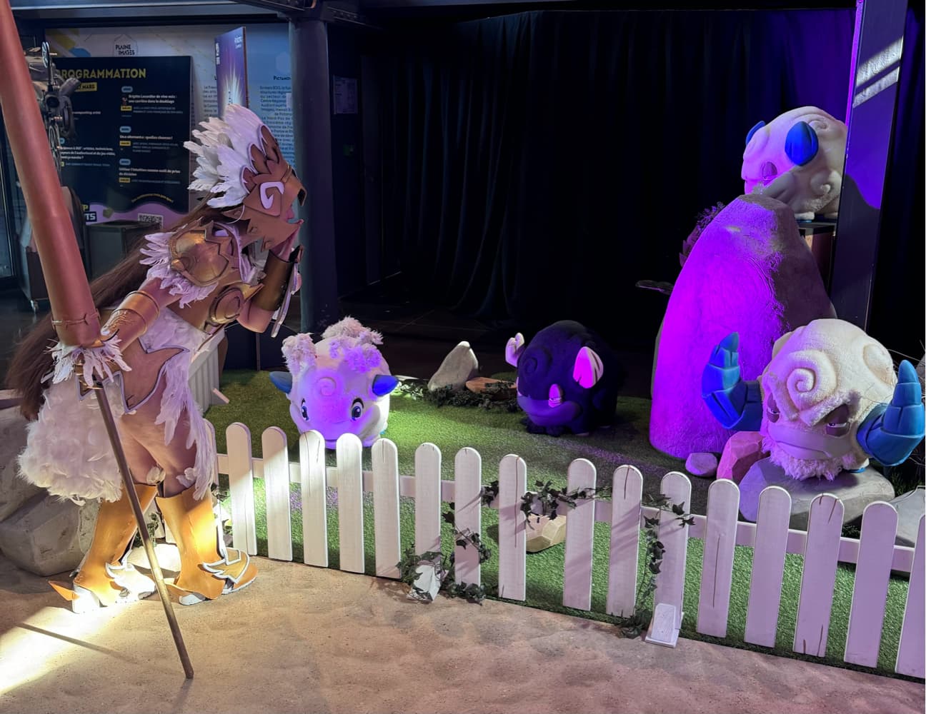 Ankama Convention - Photo 4