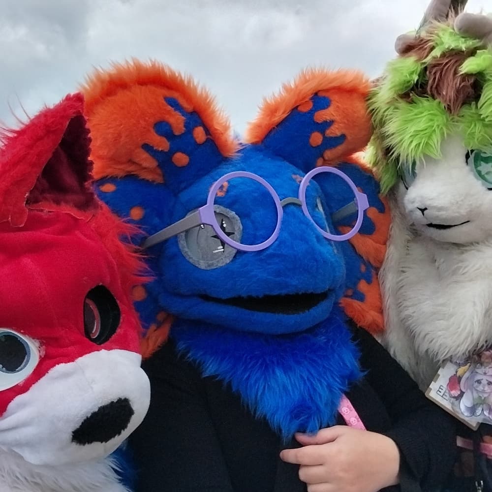 Stellar à japanante