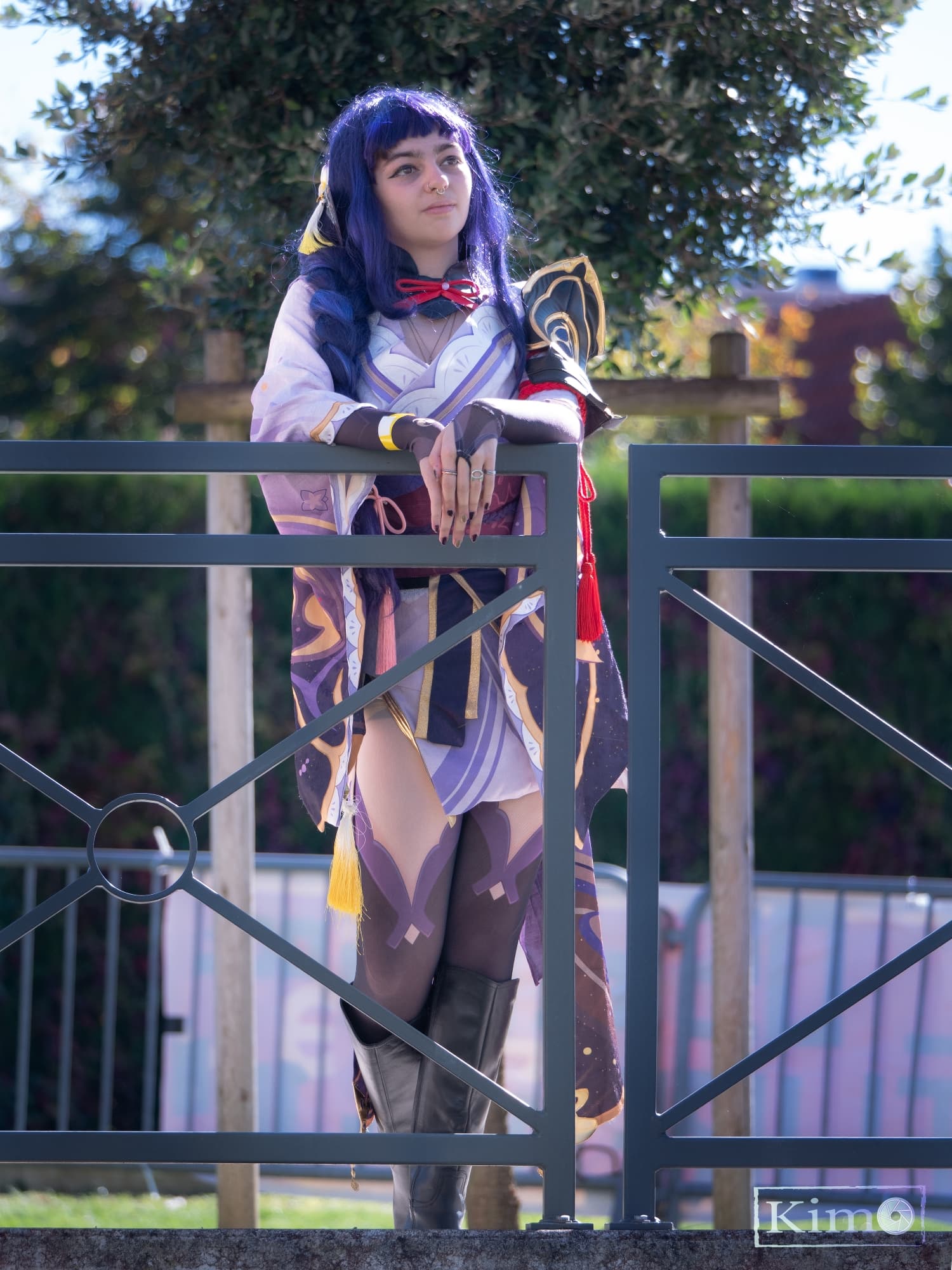 Raiden shogun  - Photo 2