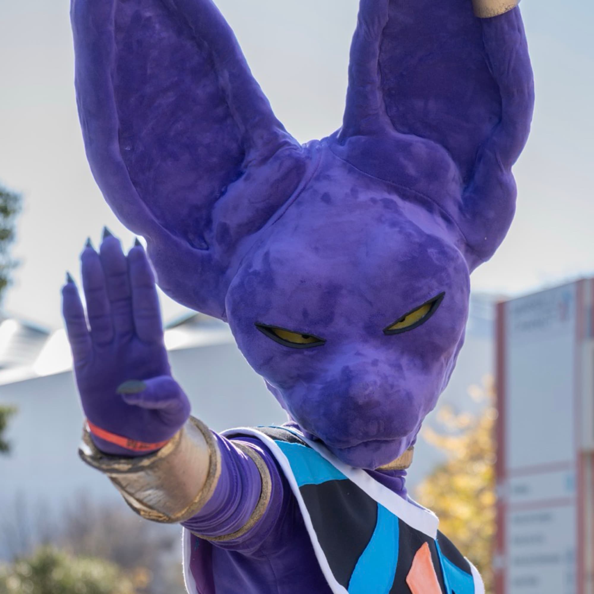 Beerus