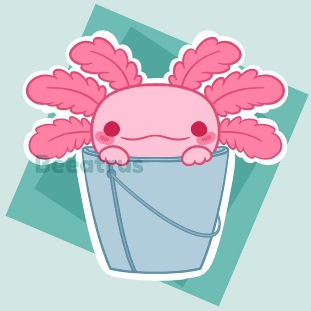 Axolotl 
