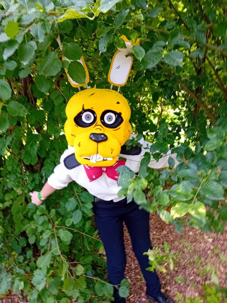 Orchies Festival - Photo 1