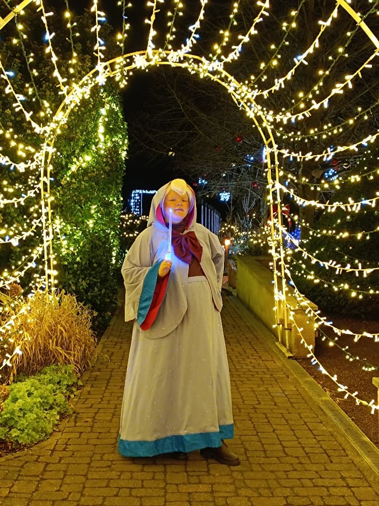 Bonne fée de Noël  - Photo 25