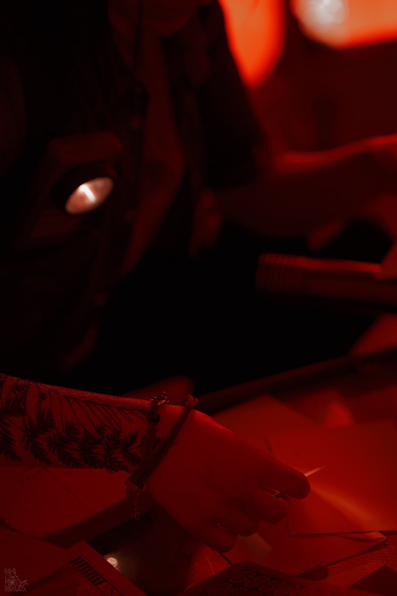 Red Arc - Ellie - Photo 8