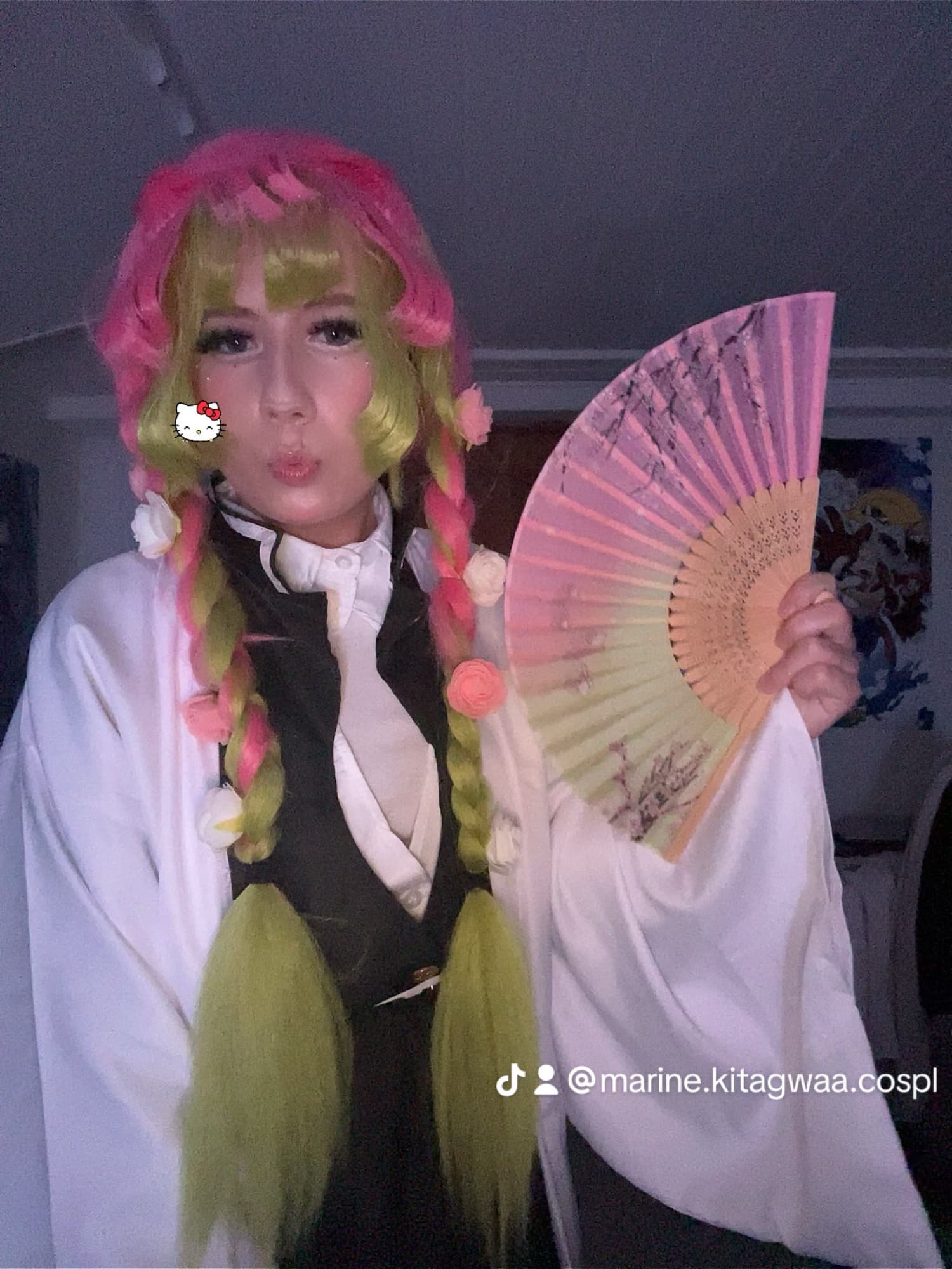 Mitsuri Kanroji  - Photo 1