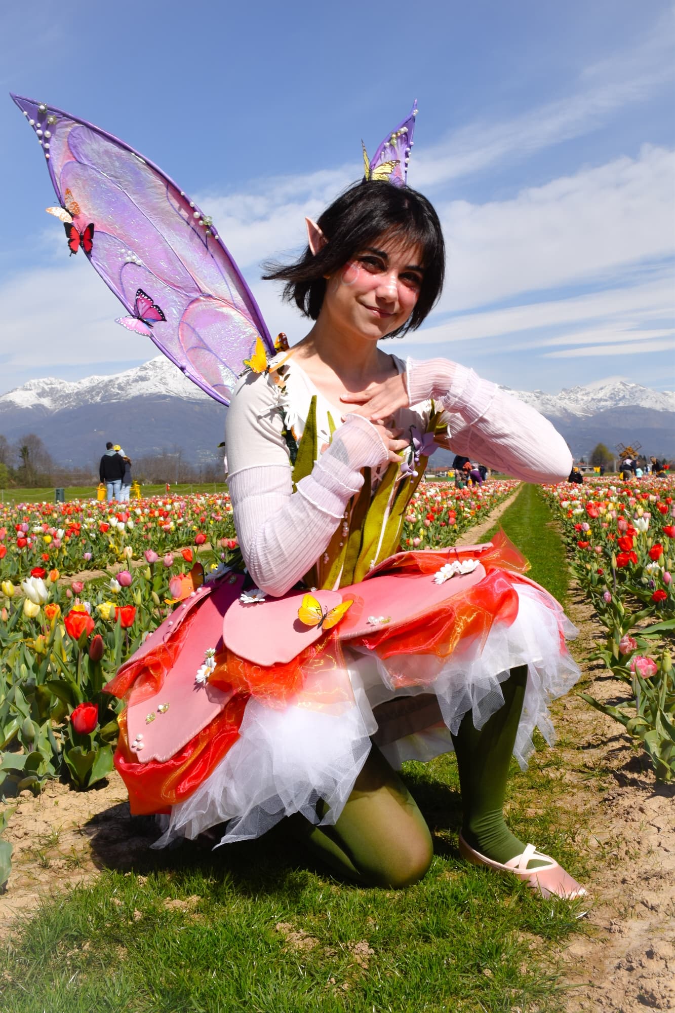 Lale the FairyTulip  - Photo 9