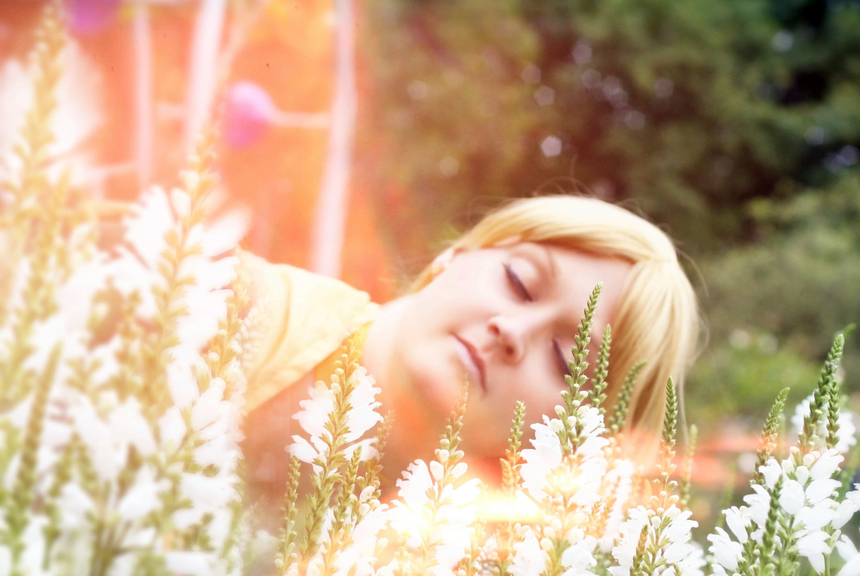 Princess Venus-Anime - Photo 11