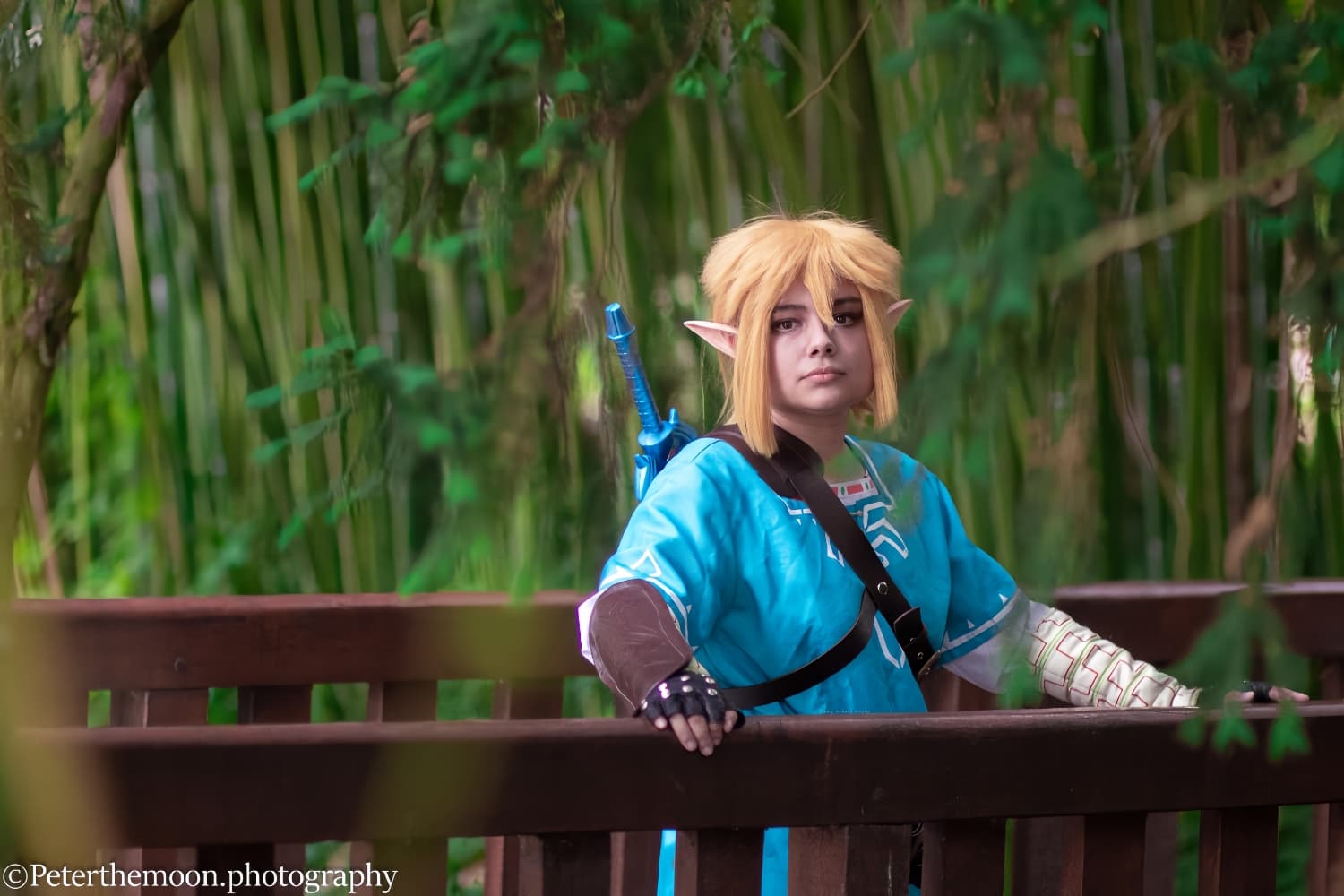 Link et zelda  - Photo 1