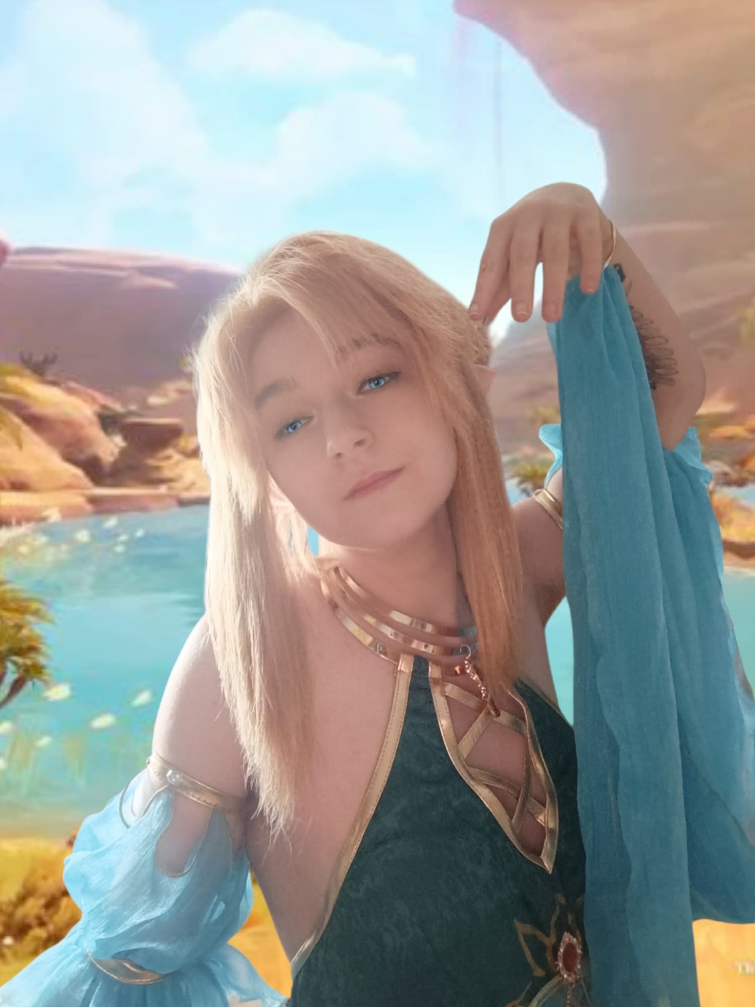 Link gerudo - Photo 6